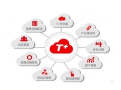 T+普及版1980元起-青岛即墨用友软件服务商图2