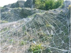 贵州遵义钢丝绳网主动防护网柔性防护网厂家定制直销图3