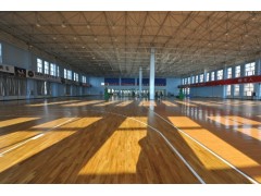 枫木纹、石榴石纹PVC运动地板生产厂家图2