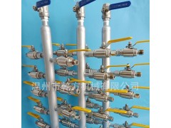 304/316L不锈钢气源分配器，蒸汽分配器、气源球阀图3