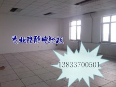沧州黄骅港任丘献县廊坊大城孟村德州唐山架空陶瓷防静电地板厂家图2