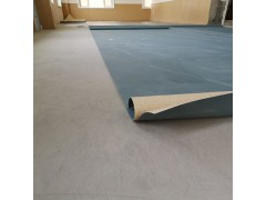 广东深圳幼儿园PVC塑胶地板2.0mm厚地板胶厂家批发图2