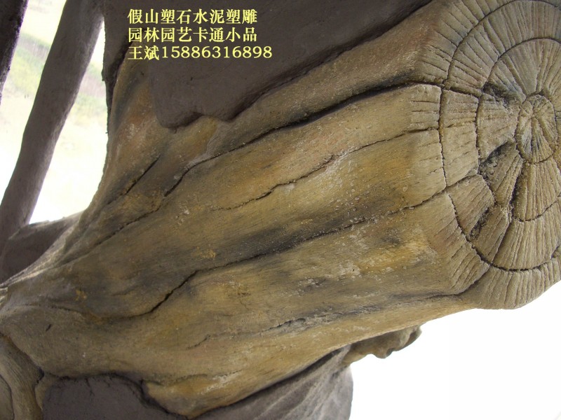 园林景观15886316898 (45)
