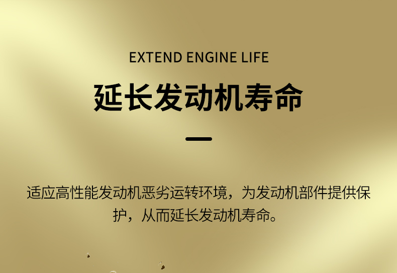 基利斯1号-SN-5W30-1L-详情_10
