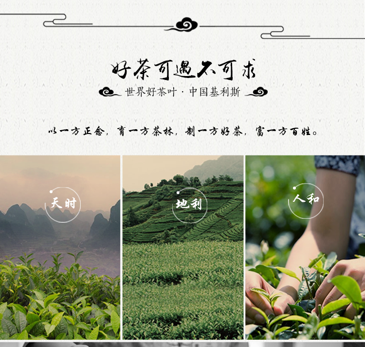 英红九号红茶-礼盒装-125G-详情页-0927_10