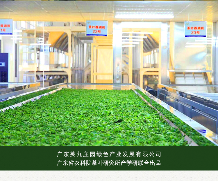 英红九号红茶-礼盒装-125G-详情页-0927_17