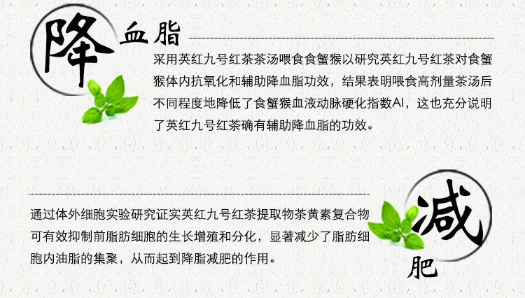英红九号红茶-袋泡装-详情页-0927_08