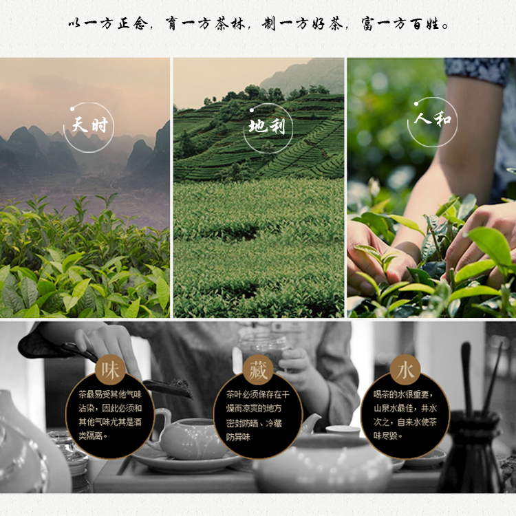 英红九号红茶-袋泡装-详情页-0927_11