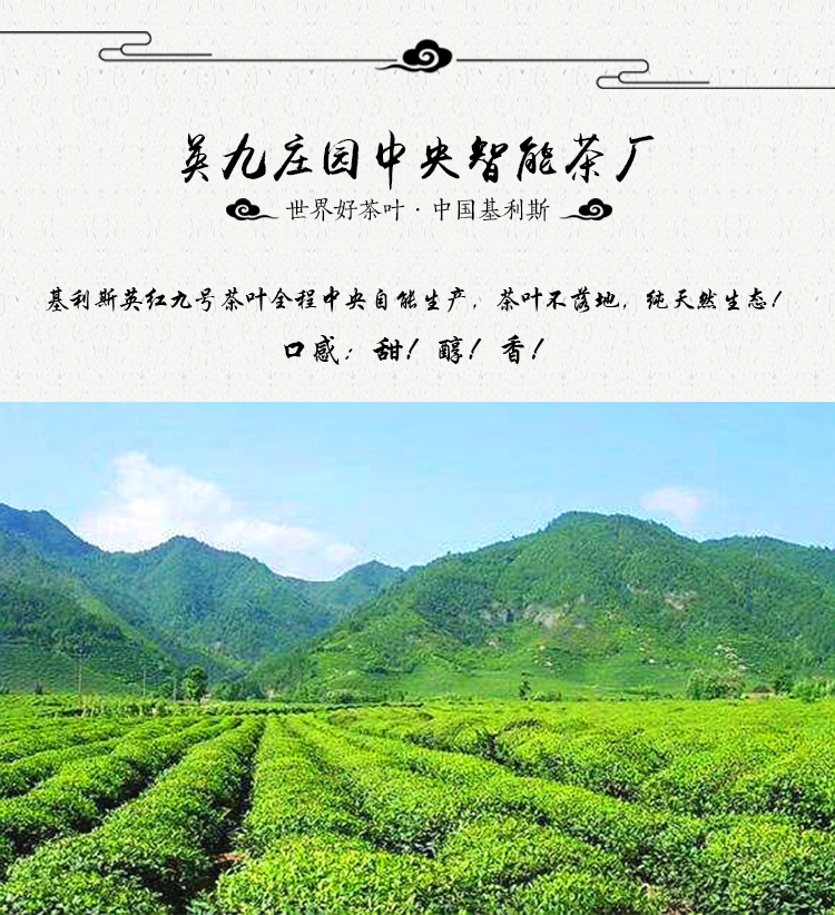 英红九号红茶-袋泡装-详情页-0927_12