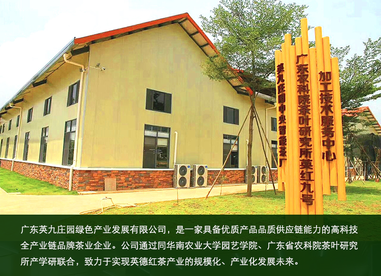 英红九号红茶-袋泡装-详情页-0927_14