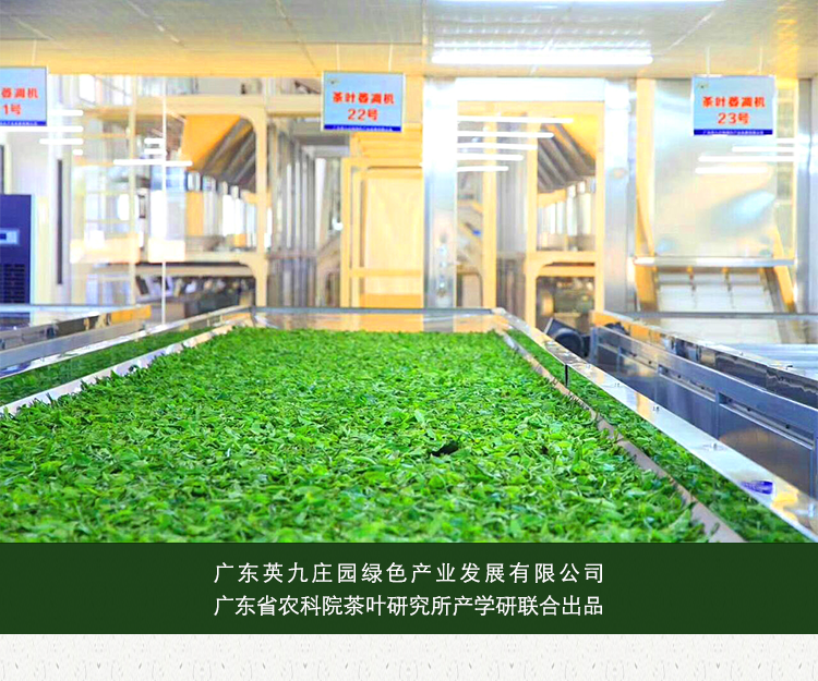 英红九号红茶-袋泡装-详情页-0927_17