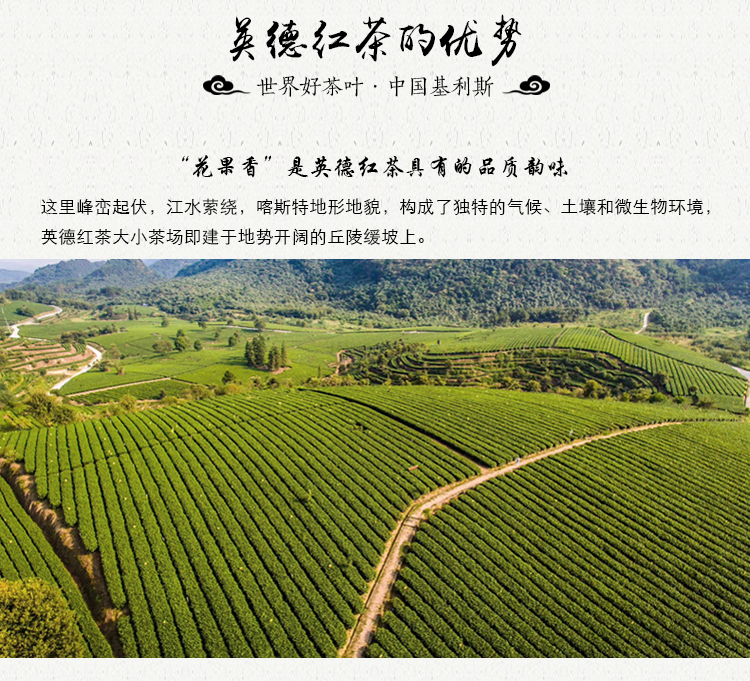 英红九号红茶-袋泡装-详情页-0927_19
