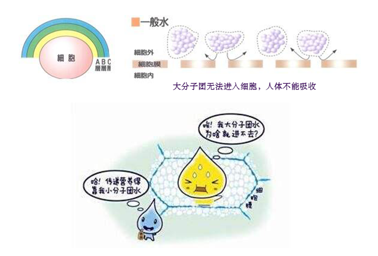 电水壶(双炉)-详情页-0709_03