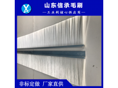 毛刷条图3