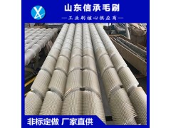 尼龙丝毛刷，工业毛刷图3