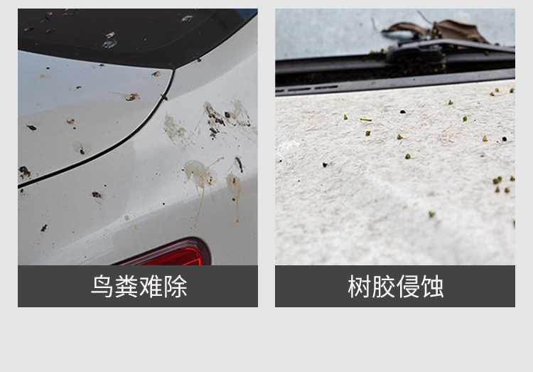 基利斯虫胶去除剂4kg-详情_05