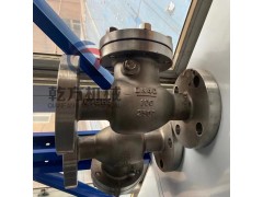 双相钢止回阀，2205/2507双相不锈钢法兰止回阀图3