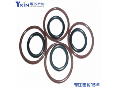 HNBR氢化橡胶密封圈FVMQ氟硅O型圈图3