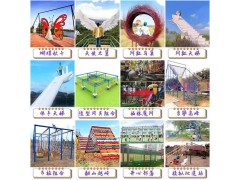 农庄户外景区大型单双排网红秋千 多人摇摆秋千无动力游乐设备图5