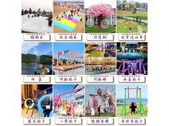 农庄户外景区大型单双排网红秋千 多人摇摆秋千无动力游乐设备图6