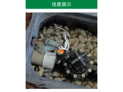 美国进口100-DVF、150PGA，200PGA电磁阀图2