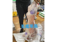 新疆谢利盖畜牧有限责任公司面向全国招募代理，销售人员。图4