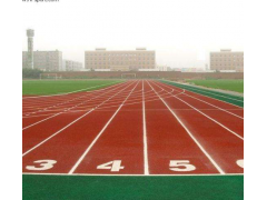 塑胶跑道地坪图3