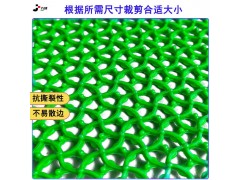 厂家供应PVC镂空地垫洗手间腾龙垫防滑防水地板垫图2