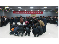 卓越绩效评价准则及实施指南培训图2