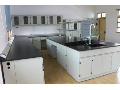 伊春市化验室操作台材质说明，鹤岗市实验台厂家，双鸭山市化验台图4