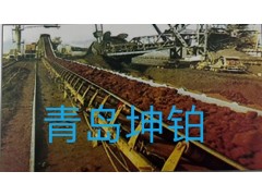 耐油输送带图2