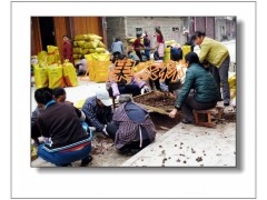 产地直发新产油桐种子-融安正果农林图4