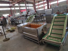 蔬菜净菜加工清洗风干流水线整套设备图2