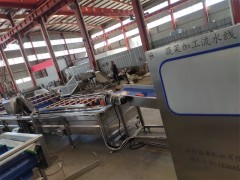 蔬菜净菜加工清洗风干流水线整套设备图4