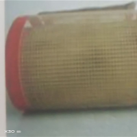 供应特氟龙食品网格输送带
