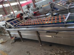 根茎蔬菜净菜加工流水线图4