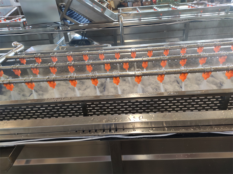 蔬菜加工流水线61