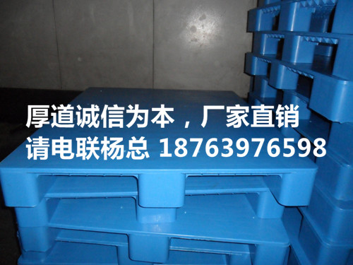 SAM_4108_副本