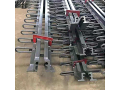 公路桥梁伸缩缝CFE型伸缩缝变形缝异型钢模数式桥面伸缩装置图2