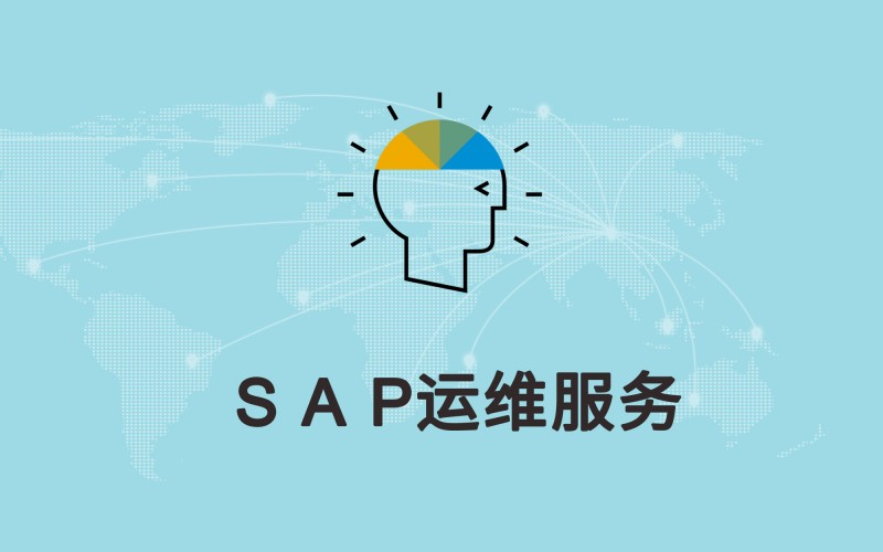 SAP运维服务商