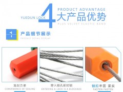 手撕塑料封条铅封图3