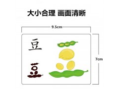 乐乐多龙之语声朗朗象形识字卡片幼儿早教认字学前识字图2
