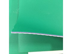 广西南宁羽毛球馆PVC胶地板 减震弹性PVC胶地板价格图3