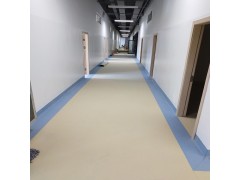 南宁发泡底2mm厚PVC地胶 幼儿园用PVC地板胶现货价格图5