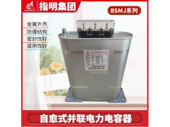 指明集团BSMJ0.45-30-3低压电力电力电容器图3