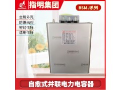 指明集团BSMJ0.45-30-3低压电力电力电容器图2