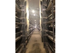 鸡笼厂供应全自动蛋鸡笼，肉鸡笼，育雏笼养鸡设备笼具图3