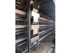 鸡笼厂家生产全自动大层叠蛋鸡笼设备清粪机图2