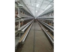 鸡笼厂家生产全自动大层叠蛋鸡笼设备清粪机图3