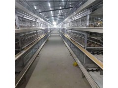 可外贸出口层叠蛋鸡笼全自动养鸡设备批发价格图2